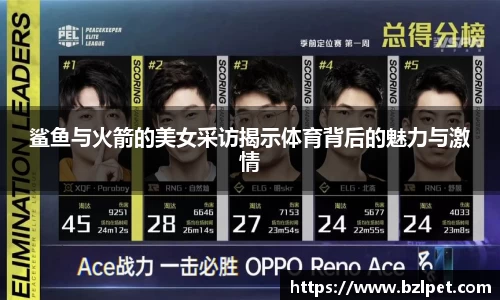 美嘉体育鲨鱼与火箭的美女采访揭示体育背后的魅力与激情
