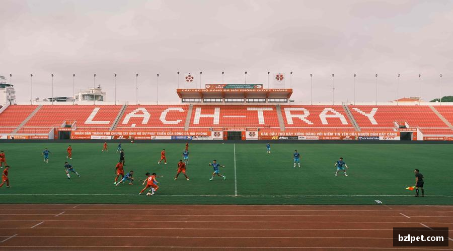 美嘉体育平台一键锁定，精彩不错过！📱